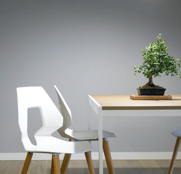 Light wooden table with a bonsai plant, accompanied by two modern white chairs.